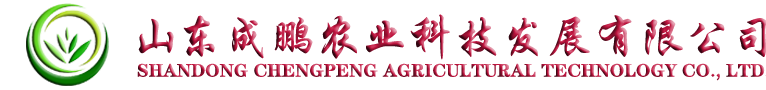 北京睿信致成管理顧問(wèn)有限公司